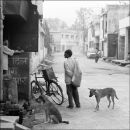 Street Life Delhi